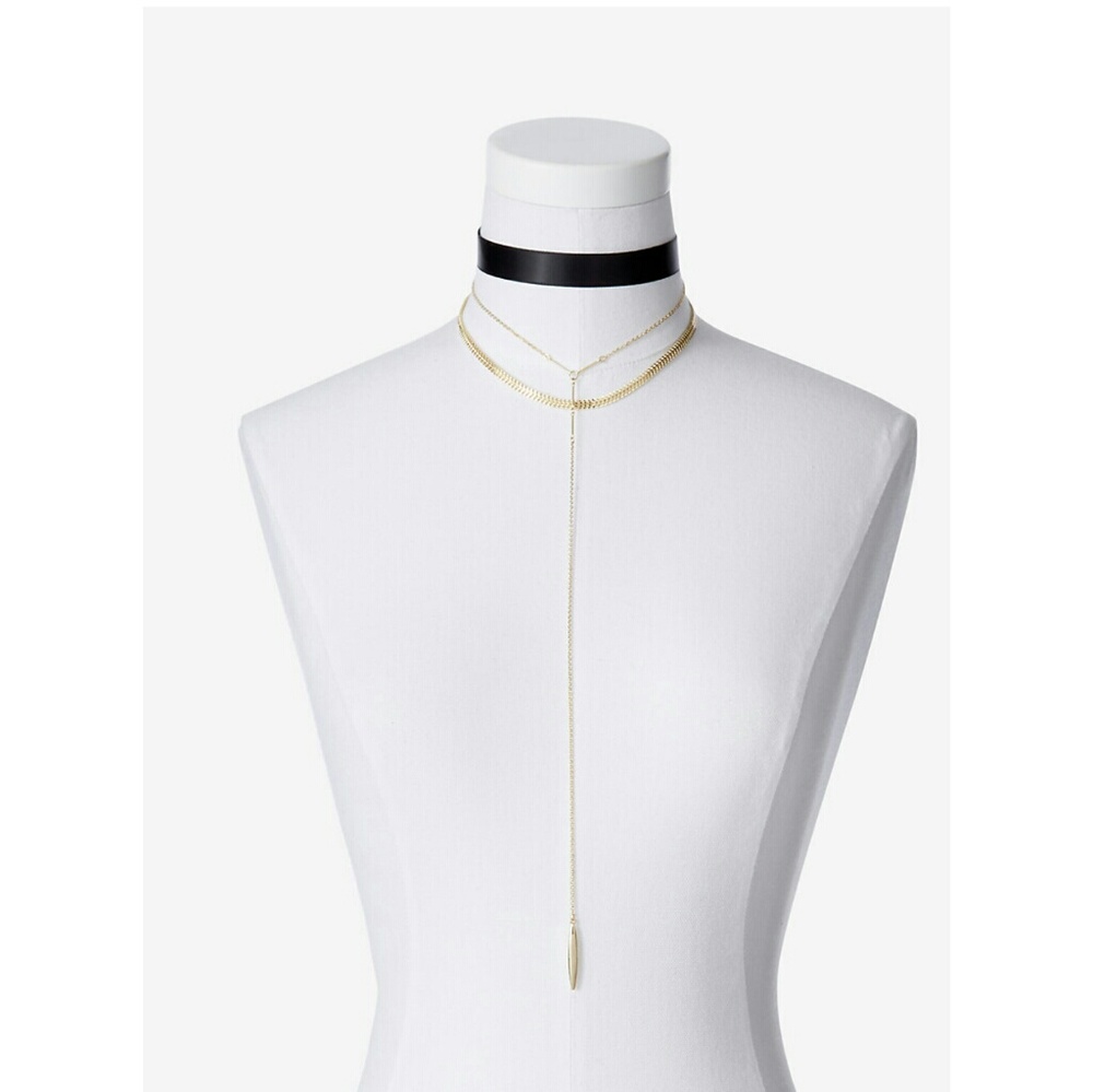 NWT Express Y Choker